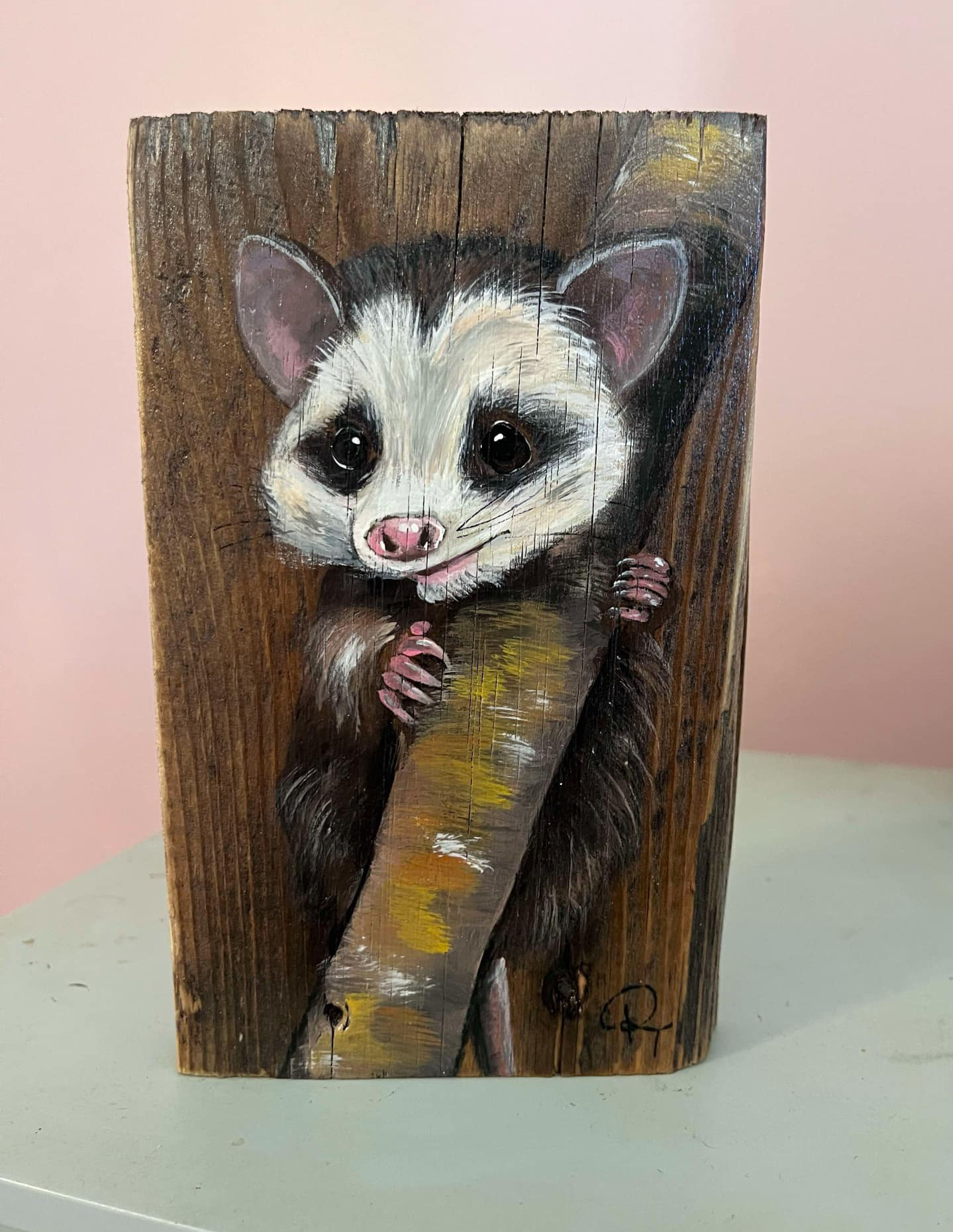 Climbing Opossum: Acrylic on Wood