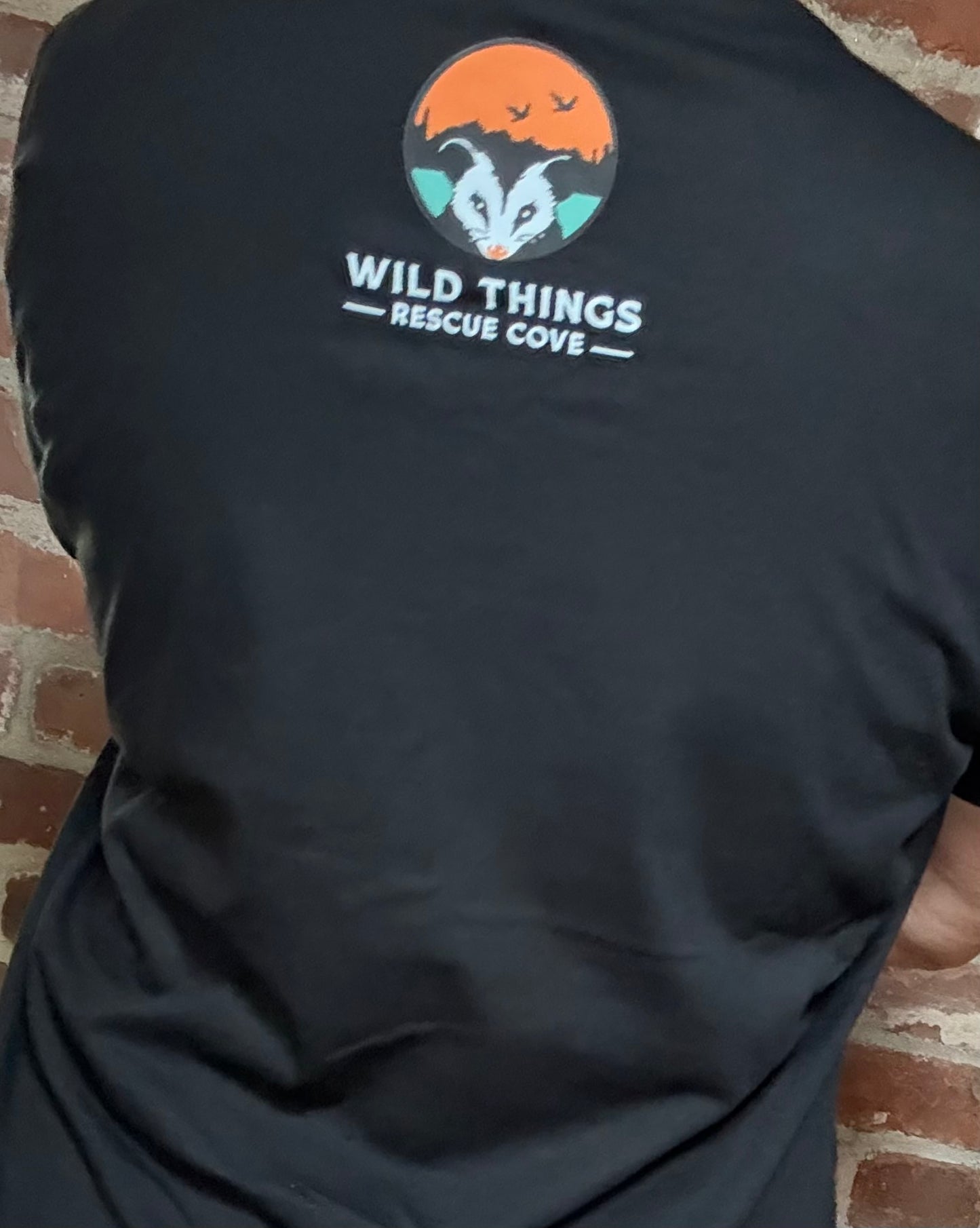 Get in Loser T-Shirt, V-Neck