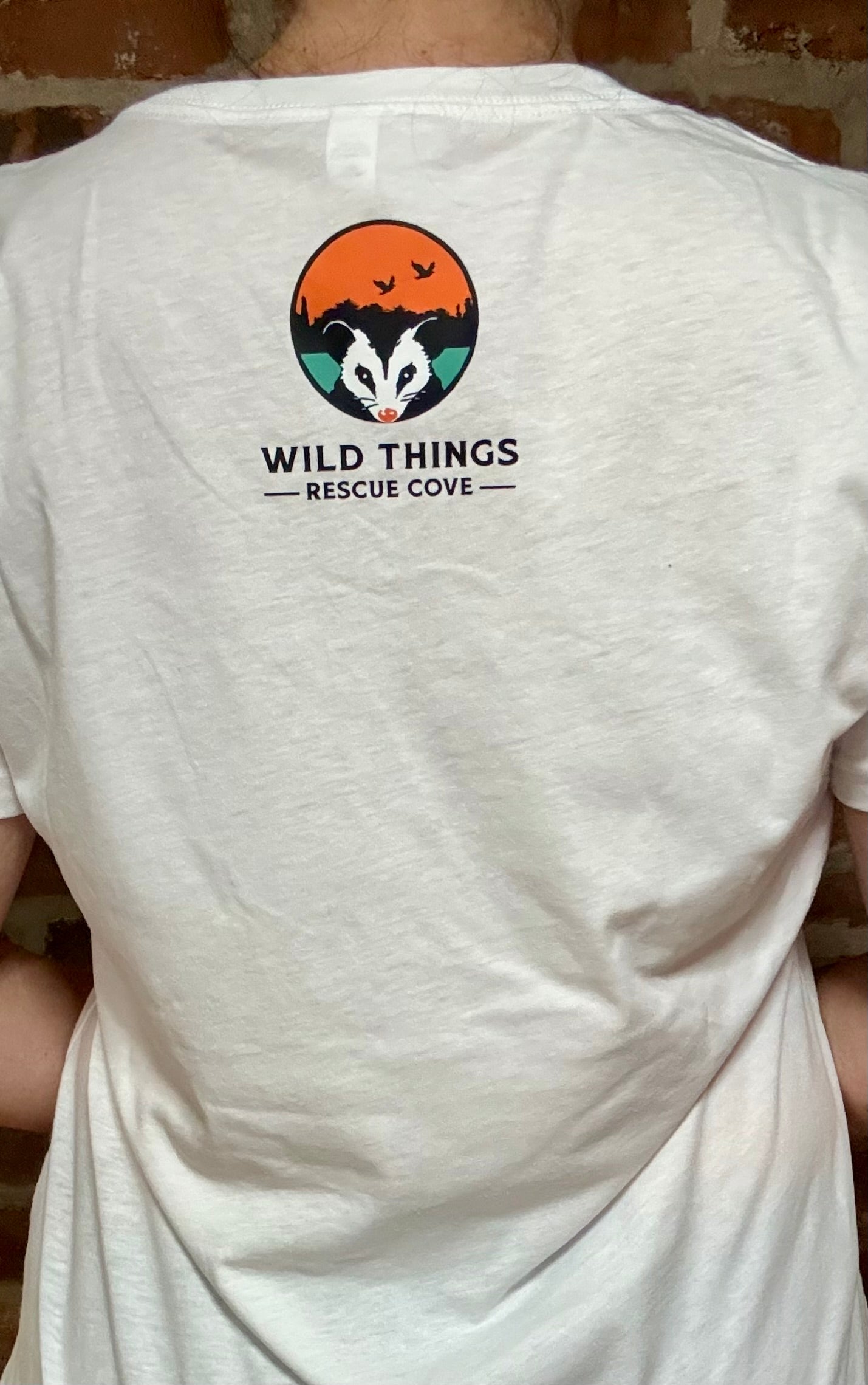 Talk to Me Goose T-Shirt, V-Neck