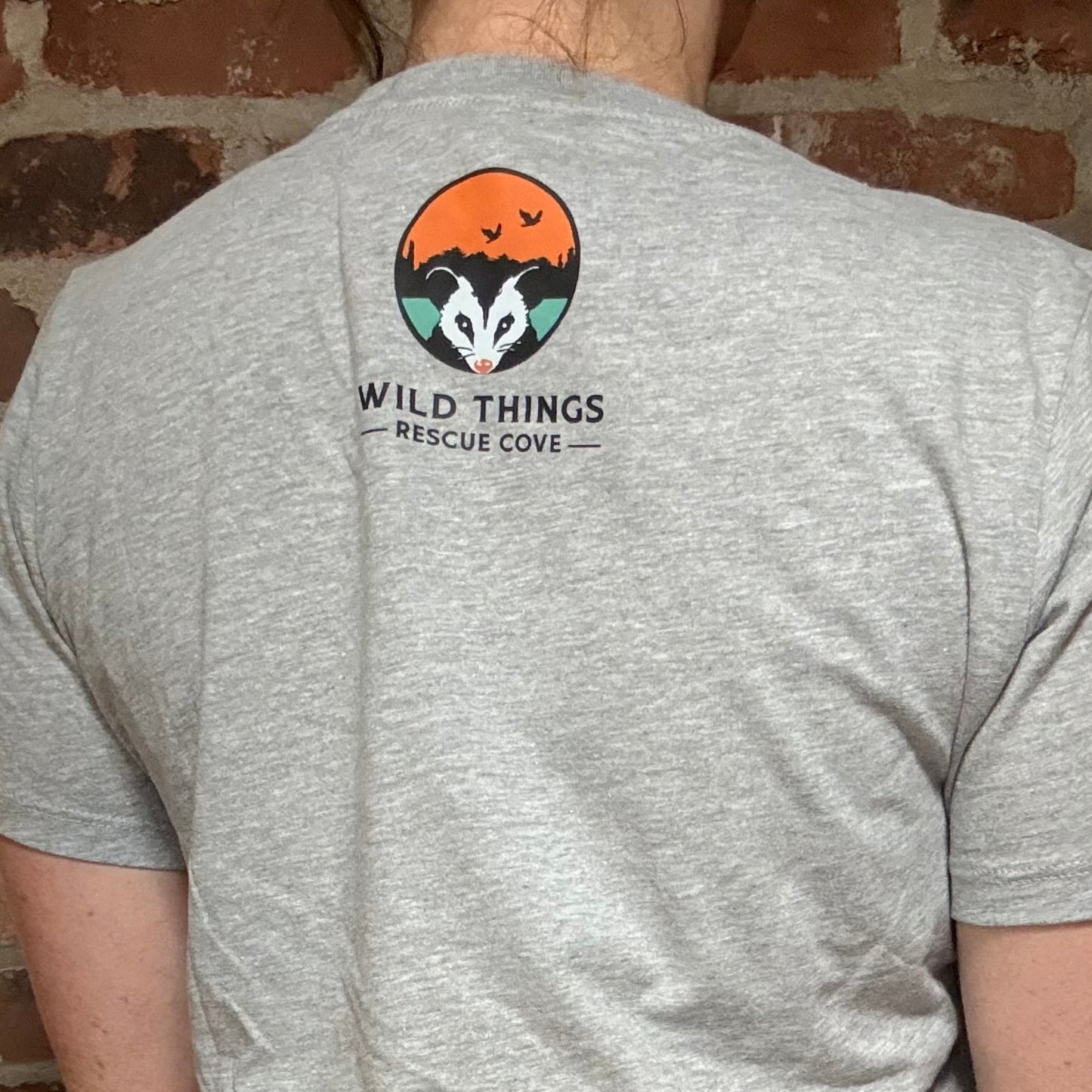 In Your Favor T-shirt: V-Neck